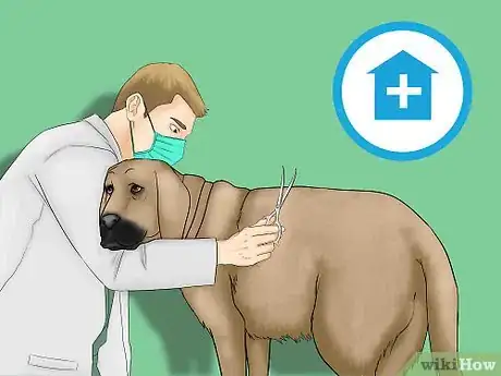Imagen titulada Remove Chewing Gum from a Dog's Hair Step 12