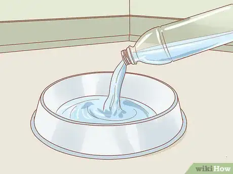 Imagen titulada Feed and Hydrate a Mother Dog Step 3