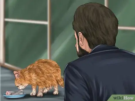 Imagen titulada Approach a Stray Cat Step 8