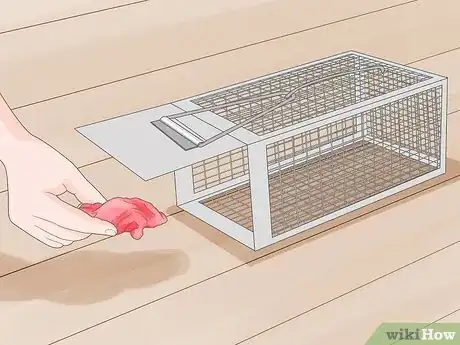 Imagen titulada Catch Weasels Step 4