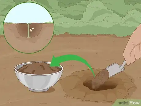 Imagen titulada Improve Soil Step 17