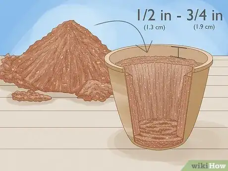 Imagen titulada Repot African Violets Step 5