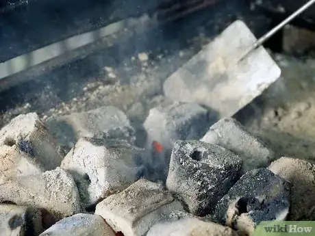Imagen titulada Use a Charcoal Grill Step 5