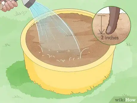 Imagen titulada Grow Potatoes from Potatoes Step 11