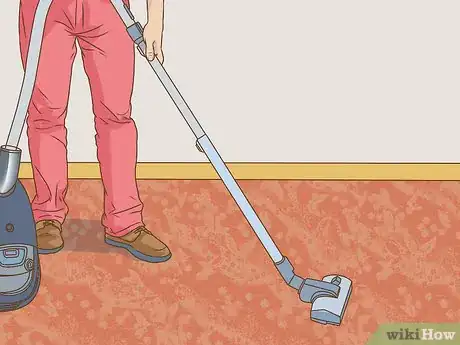 Imagen titulada Get Rid of Sandfleas Step 5