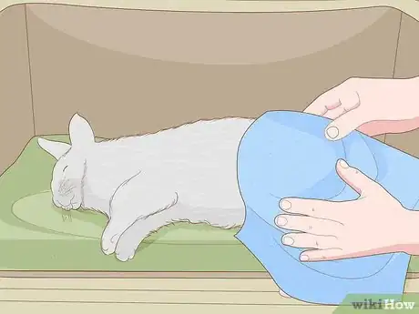 Imagen titulada Care for an Injured Rabbit Step 6