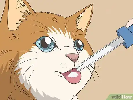 Imagen titulada Make Kitten Formula Step 11