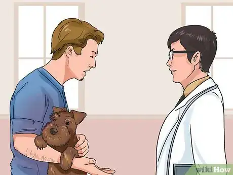 Imagen titulada Recognize Poisoning in Dogs Step 11
