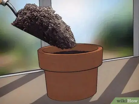 Imagen titulada Grow an Avocado Tree Step 9