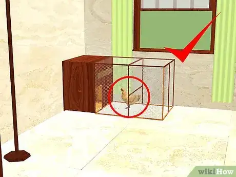 Imagen titulada Care for a Chicken in an Apartment Step 1