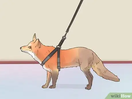 Imagen titulada Care for a Pet Fox Step 19
