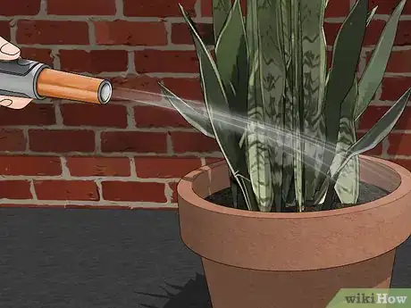 Imagen titulada Transplant a Plant Step 7