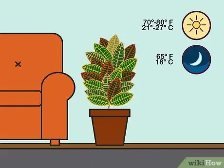 Imagen titulada Care for a Croton Plant Step 07
