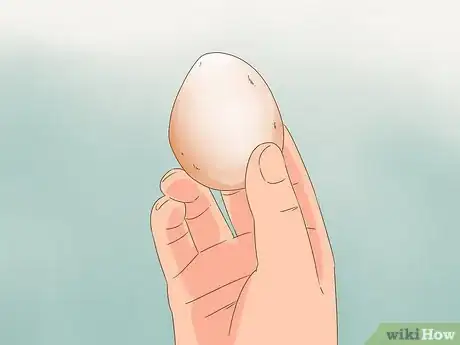 Imagen titulada Tell if a Chicken is Sick Step 12
