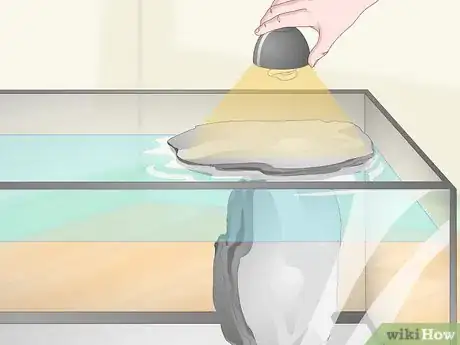 Imagen titulada Take Care of Mini Pet Turtles Step 5