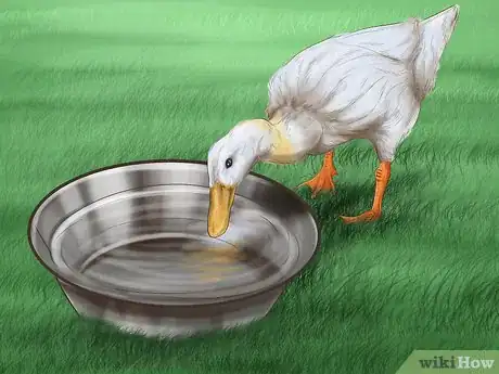 Imagen titulada Attract Ducks Step 6