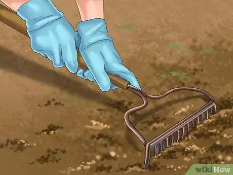 Imagen titulada Get and Maintain a Healthy Lawn Step 1