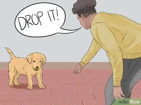 Imagen titulada Train a Golden Retriever Puppy Step 40