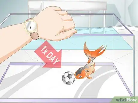 Imagen titulada Play With a Goldfish Step 5