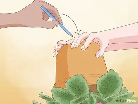 Imagen titulada Repot African Violets Step 9