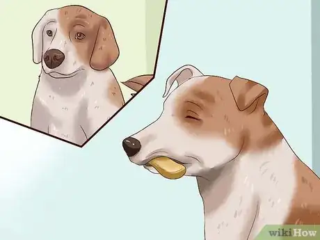 Imagen titulada Get Dogs to Stop Barking Step 3