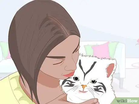 Imagen titulada Catch a Stray Kitten Step 15