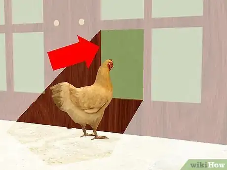 Imagen titulada Care for a Chicken in an Apartment Step 4