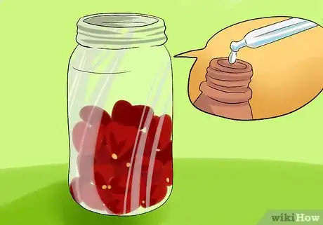 Imagen titulada Keep Rose Petals Fresh Step 12