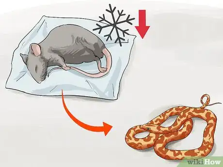 Imagen titulada Feed a Snake Step 5