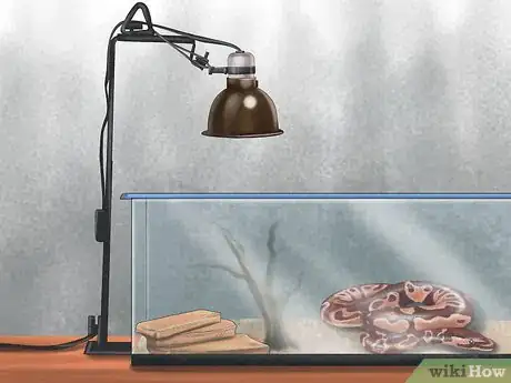 Imagen titulada Care for Your Ball Python Step 11
