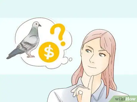 Imagen titulada Train a Homing Pigeon Step 1