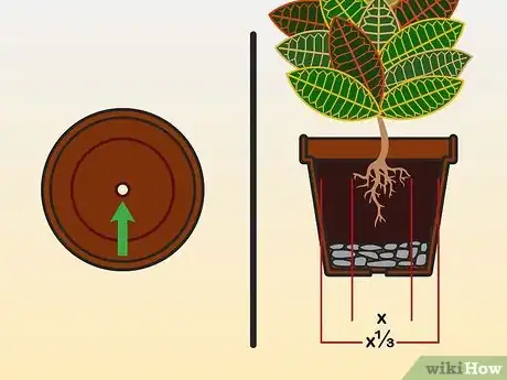 Imagen titulada Care for a Croton Plant Step 01