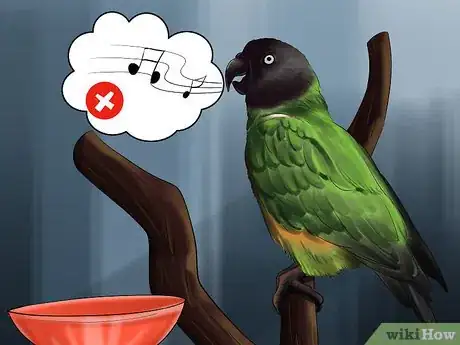 Imagen titulada Know if a Senegal Parrot Is Right for You Step 10