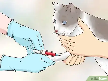 Imagen titulada Stop Your Cat from Peeing on Your Bed Step 2