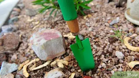 Imagen titulada Bury Valuables to Keep Them Safe Step 1