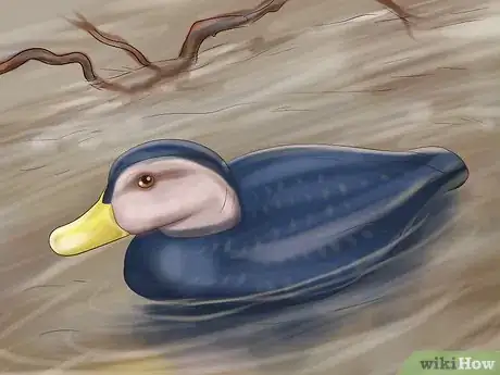 Imagen titulada Attract Ducks Step 9