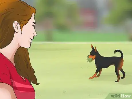 Imagen titulada Train Your Dog to Use a Dog Door Step 26