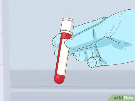 Imagen titulada Diagnose and Treat Mouth Ulcers in Cats Step 5