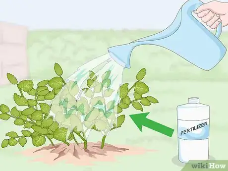 Imagen titulada Prune Oregano Step 9