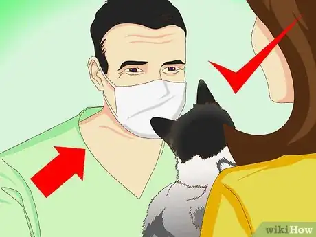 Imagen titulada Get Rid of Dry Skin on Cats Step 5
