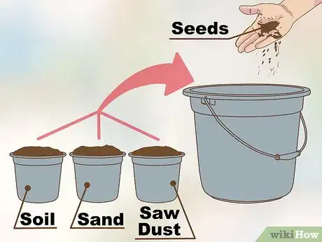 Imagen titulada Grow a Clover Lawn Step 10