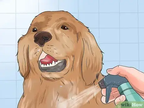 Imagen titulada Treat Hot Spots in Dogs Step 9