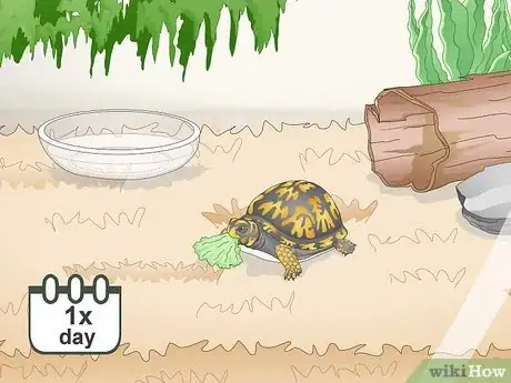 Imagen titulada Care for an Eastern Box Turtle Step 11