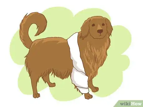 Imagen titulada Wrap a Dog’s Shoulder Step 14
