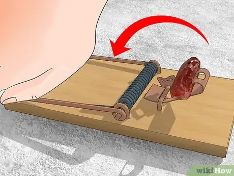 Imagen titulada Kill Woodrats Step 3