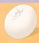 hacer una incubadora doméstica para pollos