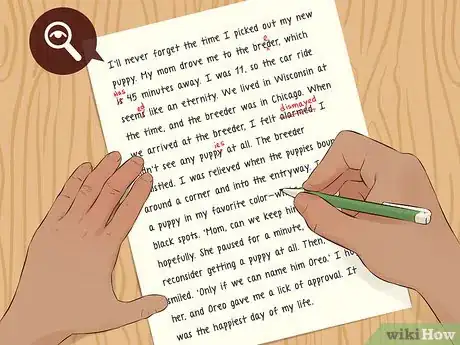 Imagen titulada Write a Narrative Paragraph Step 11