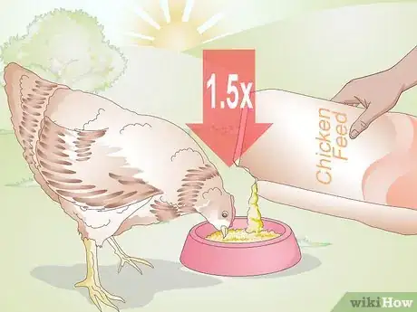 Imagen titulada Feed Chickens during the Winter Step 1