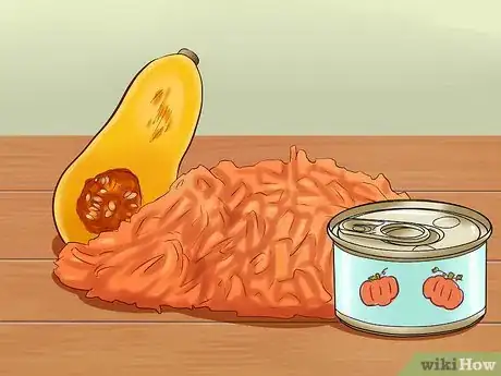 Imagen titulada Cure a Cat of Constipation Step 9