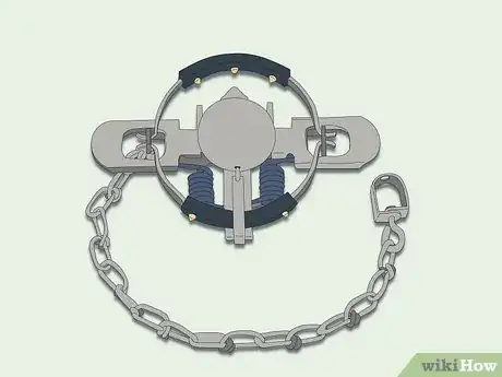 Imagen titulada Trap Raccoons Step 3